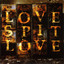 Love Spit Love cover