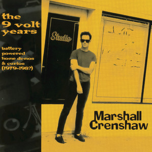 The 9 Volt Years cover