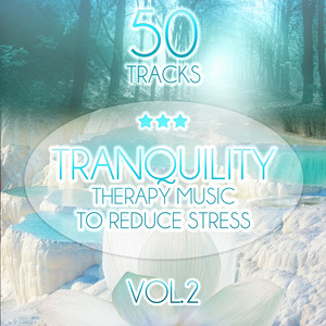 Tranquility: Therapy Music to Reduce Stress, Relaxing Sounds of Nature (Birds, Water, Sound of the Sea) Trouble Sleeping, Meditation, Yoga, Help with Learning, Spa & Massage vol. 2 album
