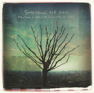 Phantom Limbs album