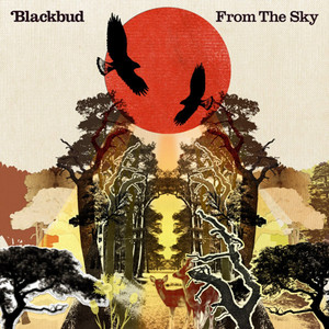 From the Sky cover