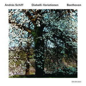 Diabelli Variationen cover