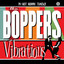 Vibrations cover