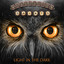 Light in the Dark (Deluxe Version) cover