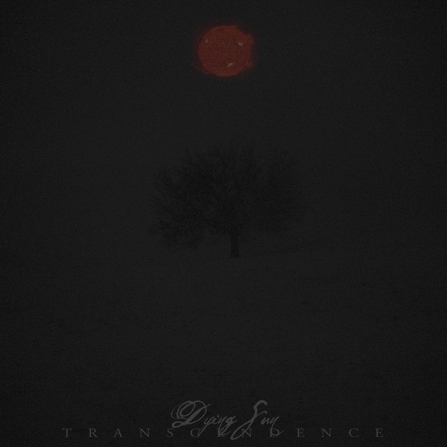 Dying Sun Photo