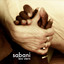 Sabani cover
