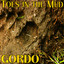 Toes In the Mud Albumcover