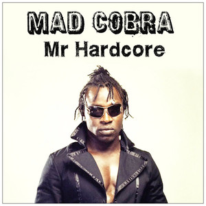 Mr Hardcore album