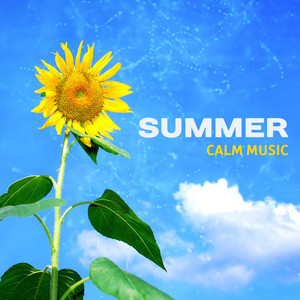 Summer Calm Music – Chill Out Vibes to Relax, Rest on the Beach, Tropical Sounds, Music to Calm Mind album