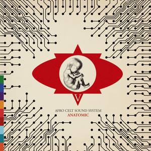 Anatomic album
