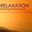 Relaxation - Relaxing Nature Sounds Relaxation and Tibetan Chakra Meditation Music for Insomnia Problem, Stress Relief, Rest, Mindfulness Meditation, Deep Sleep, Studying, Healing Massage, Spa, Sound Therapy, Chakra Balancing, Baby Sleep cover