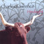 Hindsight Albumcover