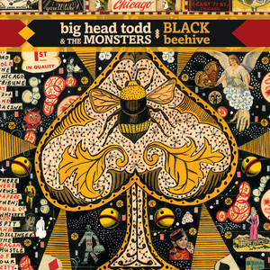 Black Beehive album
