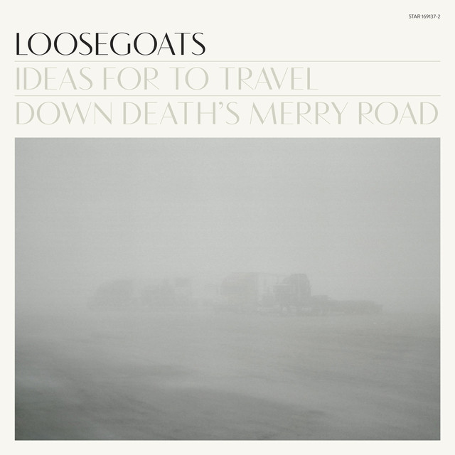 Ideas For To Travel Down Death's Merry Road cover
