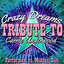 Crazy Dreams: Tribute to Carrie Underwood Albumcover