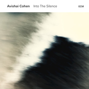 Into the Silence cover