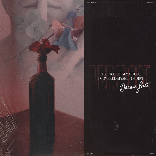 Primrose cover