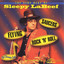 The Very Best of Sleepy LaBeef - Flying Saucers Rock 'N' Roll cover