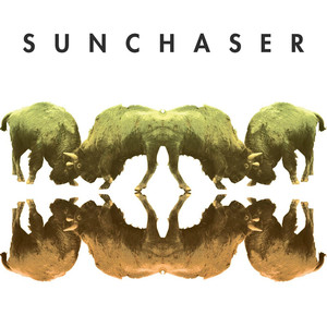 Sunchaser Albumcover