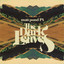 The Dark Leaves cover