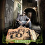 Units in the City cover