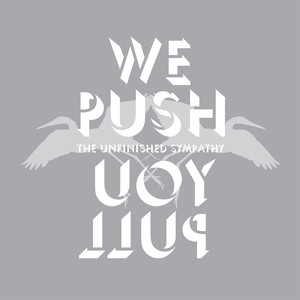 We Push You Pull cover