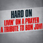 Livin' On a Prayer- A Tribute to Bon Jovi Albumcover