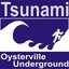 Tsunami Albumcover