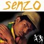 Senzo Albumcover
