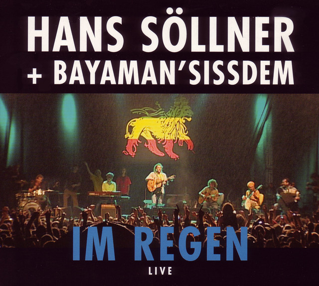 Im Regen cover