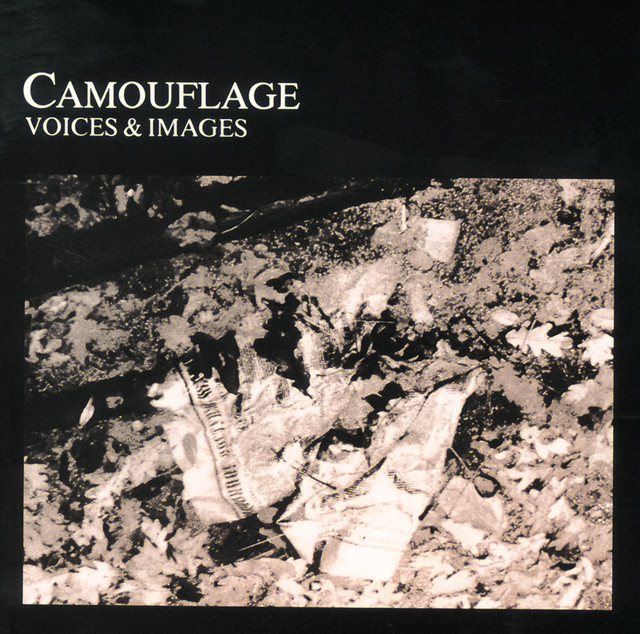 Voices & Images cover