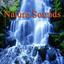 Nature Sounds Albumcover