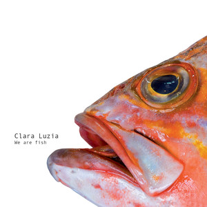 We Are Fish cover