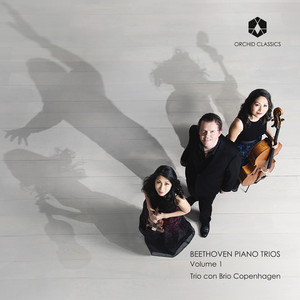 Beethoven cover