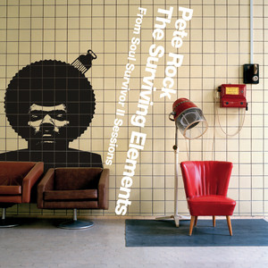 The Surviving Elements: From Soul Survivor II Sessions album