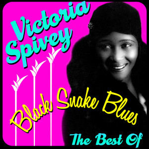 Black Snake Blues - The Best Of cover