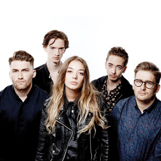 Marmozets Photo