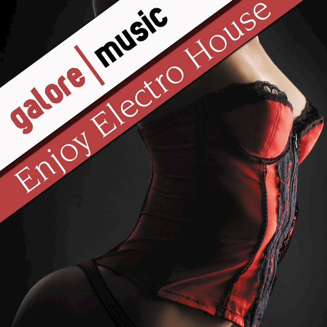 Enjoy Electro House Albumcover