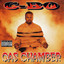 Gas Chamber cover