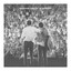 Souchon Voulzy le concert cover