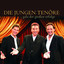 Gala der grossen Erfolge Albumcover