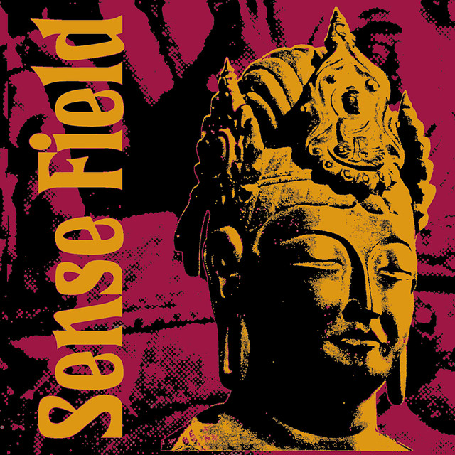 Sense Field cover