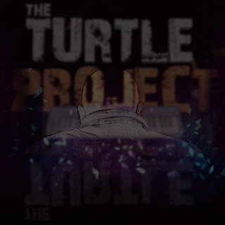 The Turtle Project Photo