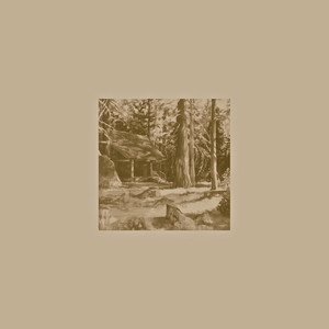 Hearth cover