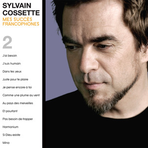 Mes succès francophones 2 cover