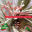 An Accoustic Christmas Albumcover