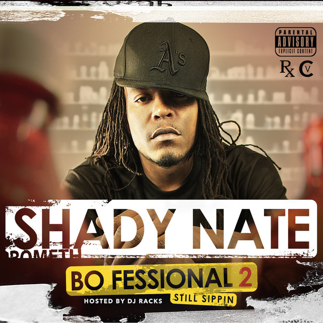 The Bo-Fessional 2 Albumcover