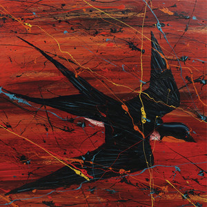 Barnswallow album