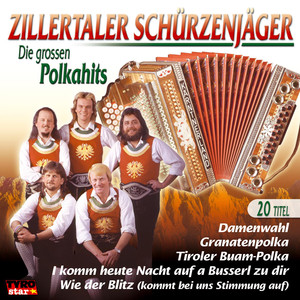 Die grossen Polkahits cover