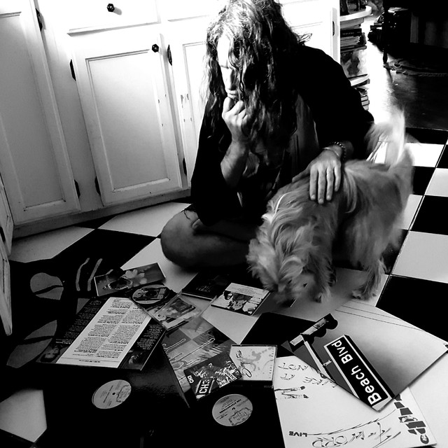.333 And 1/3 % - Adolescents' Tony Reflex Presents His Favorite Posh Boy Recordings cover